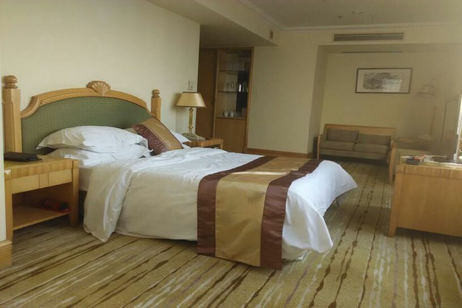 Phoenix Palace Hotel Nanchino Esterno foto